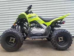 Yamaha Raptor 110 (YFM110R)