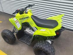 2025 Yamaha Raptor 110 (YFM110R) Raptor Green