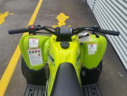 2026 Yamaha Raptor 110 (YFM110R) Raptor Green