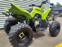 2026 Yamaha Raptor 110 (YFM110R) Raptor Green