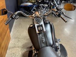 2009 Harley-davidson FLSTF FAT BOY Black