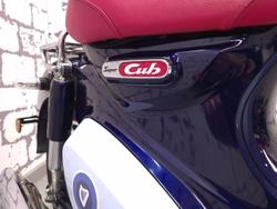 2019 Honda Super Cub C125 Cub Blue