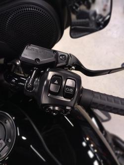 2025 Harley-Davidson Street Glide 117 (FLHX) Touring Black