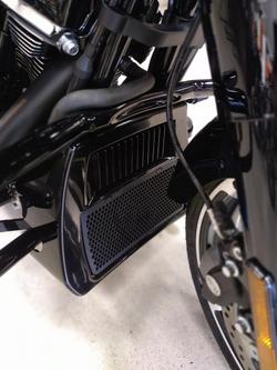 2025 Harley-Davidson Street Glide 117 (FLHX) Touring Black