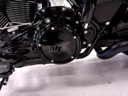 2025 Harley-Davidson Street Glide 117 (FLHX) Touring Black