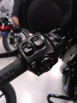 2025 Harley-Davidson Street Glide 117 (FLHX) Touring Black