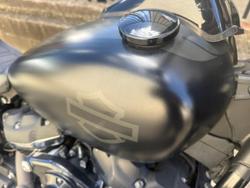 2019 Harley-Davidson Fat Bob 114 (FXFBS) Softail Black