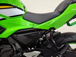 2025 Kawasaki NINJA 650L Green