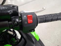 2025 Kawasaki NINJA 650L Green