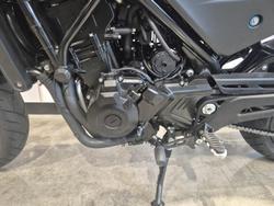 2024 Harley-Davidson X 500 X Black