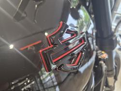 2024 Harley-Davidson X 500 X Black