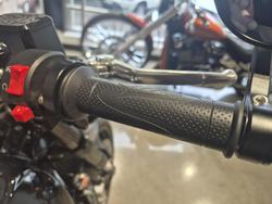 2024 Harley-Davidson X 500 X Black