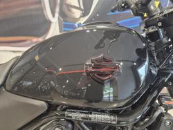 2024 Harley-Davidson X 500 X Black