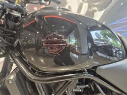 2024 Harley-Davidson X 500 X Black