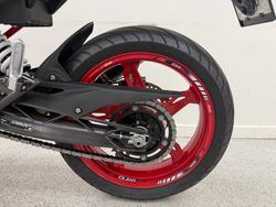 2024 BMW Motorrad G 310 R grey