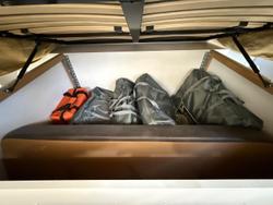 2020 Regent Discoverer