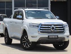 2022 GWM Ute Cannon-L