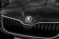 2020 SKODA Octavia 110TSI NE MY20.5 Black Magic