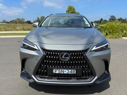 2024 Lexus NX 350h Luxury