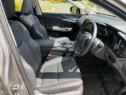 2024 Lexus NX 350h Luxury