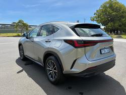 2024 Lexus NX 350h Luxury