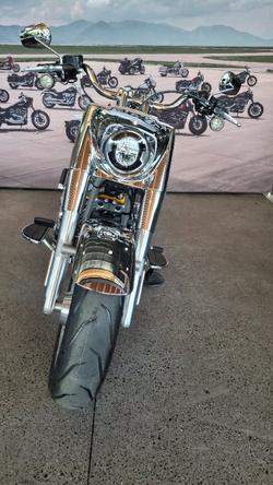 2025 Harley-davidson FLSTFI FAT BOY GRAY GHOST REFLECTION