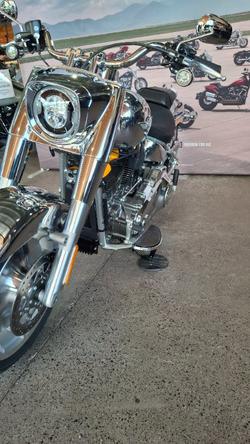 2025 Harley-davidson FLSTFI FAT BOY GRAY GHOST REFLECTION