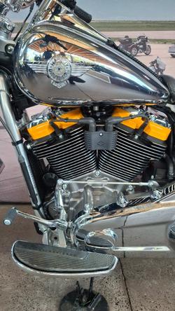 2025 Harley-davidson FLSTFI FAT BOY GRAY GHOST REFLECTION