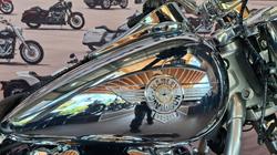 2025 Harley-davidson FLSTFI FAT BOY GRAY GHOST REFLECTION