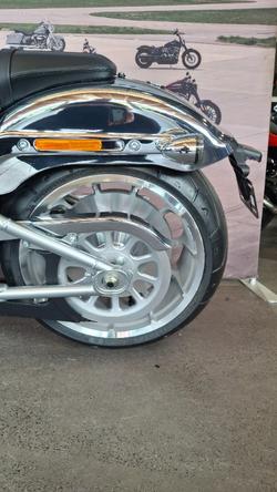 2025 Harley-davidson FLSTFI FAT BOY GRAY GHOST REFLECTION