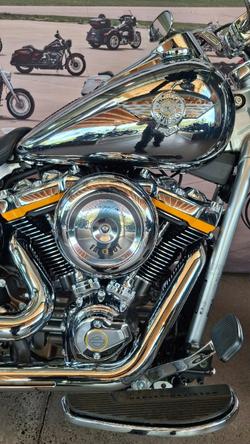 2025 Harley-davidson FLSTFI FAT BOY GRAY GHOST REFLECTION