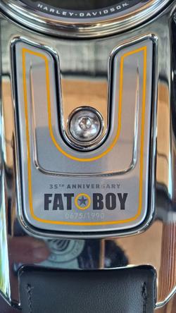 2025 Harley-davidson FLSTFI FAT BOY GRAY GHOST REFLECTION