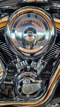 2025 Harley-davidson FLSTFI FAT BOY GRAY GHOST REFLECTION