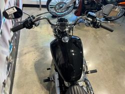 2020 Harley-Davidson Softail Standard 107 (FXST) Softail Black