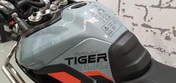 2025 Triumph Tiger 900 Desert Edition Tiger Grey