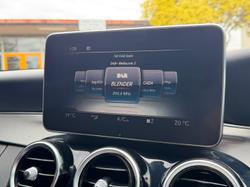 2014 Mercedes-Benz C-Class C250 BlueTEC