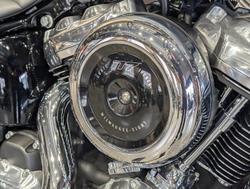 2025 Harley-Davidson Street Bob 117 (FXBB) Softail