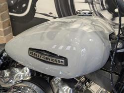 2025 Harley-Davidson Street Bob 117 (FXBB) Softail