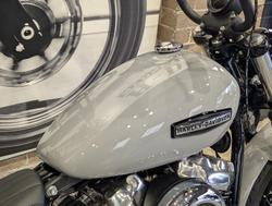 2025 Harley-Davidson Street Bob 117 (FXBB) Softail