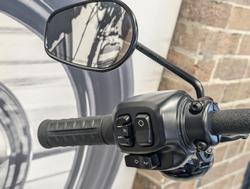 2025 Harley-Davidson Street Bob 117 (FXBB) Softail