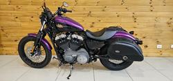 2010 Harley-davidson XL1200N SPORTSTER NIGHTSTER Purple