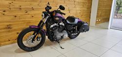 2010 Harley-davidson XL1200N SPORTSTER NIGHTSTER Purple