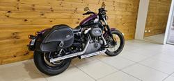 2010 Harley-davidson XL1200N SPORTSTER NIGHTSTER Purple