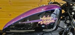 2010 Harley-davidson XL1200N SPORTSTER NIGHTSTER Purple
