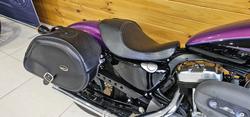 2010 Harley-davidson XL1200N SPORTSTER NIGHTSTER Purple