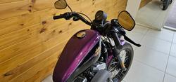 2010 Harley-davidson XL1200N SPORTSTER NIGHTSTER Purple