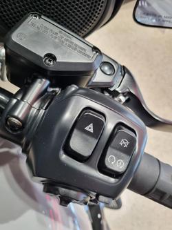 2025 Harley-Davidson Street Glide 117 (FLHX) Touring