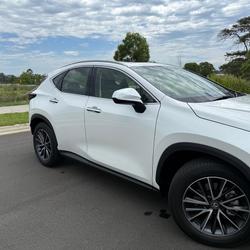 2025 Lexus NX 250
