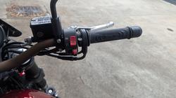 2019 BENELLI LEONCINO (ABS) Red