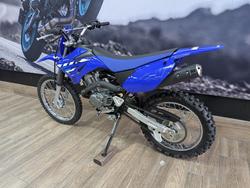 2025 Yamaha TTR125LWE BLUE